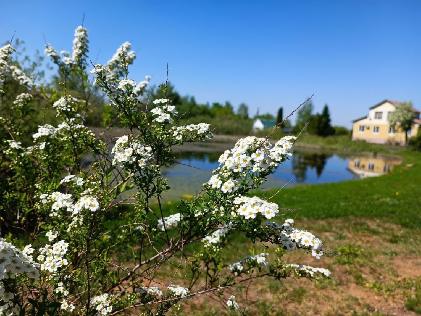 Можайск, Можайский городской округ, Подмосковье, губернаторская программа, 100 прудов и озёр, Добродел