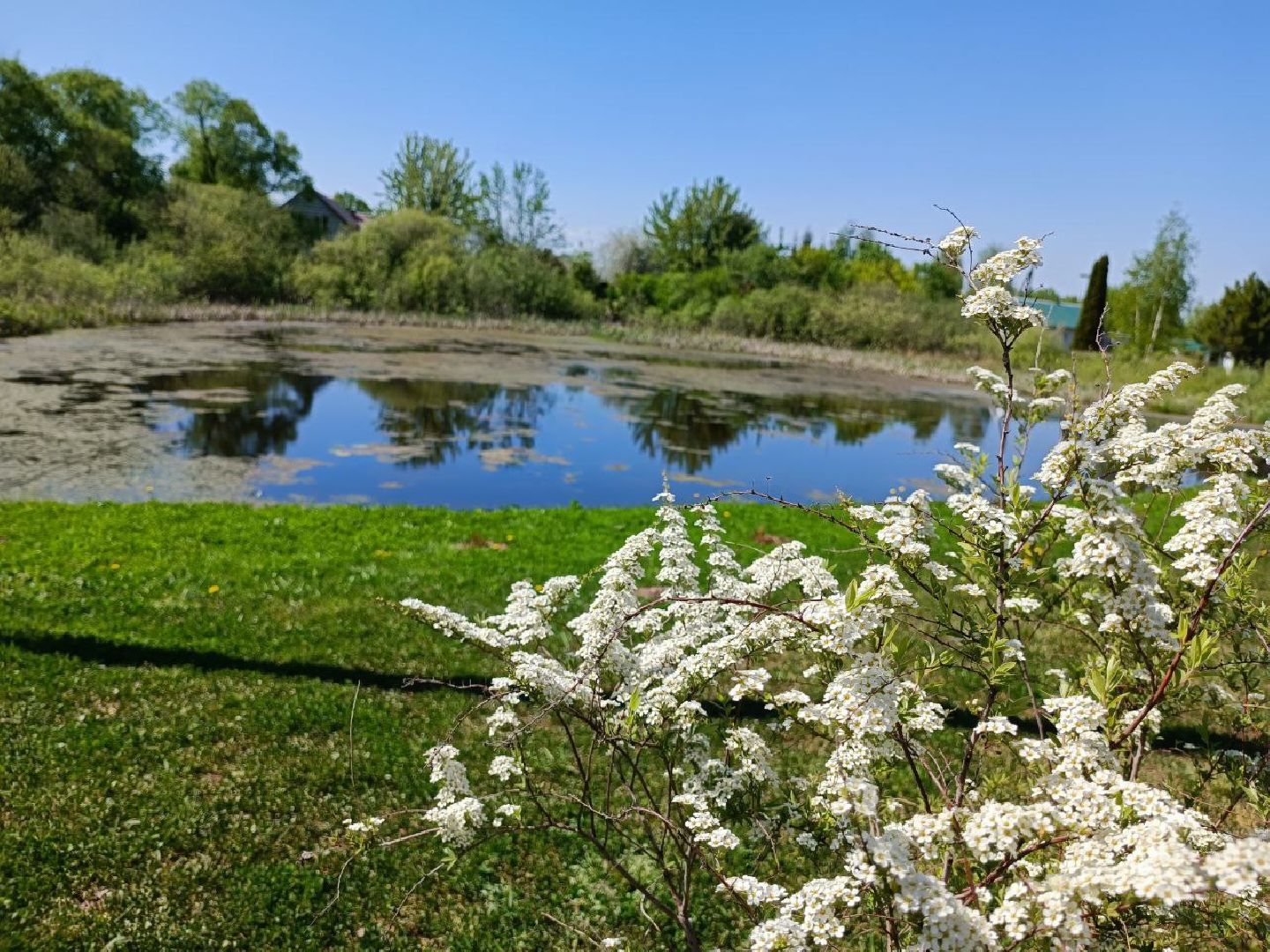 Можайск, Можайский городской округ, Подмосковье, губернаторская программа, 100 прудов и озёр, Добродел