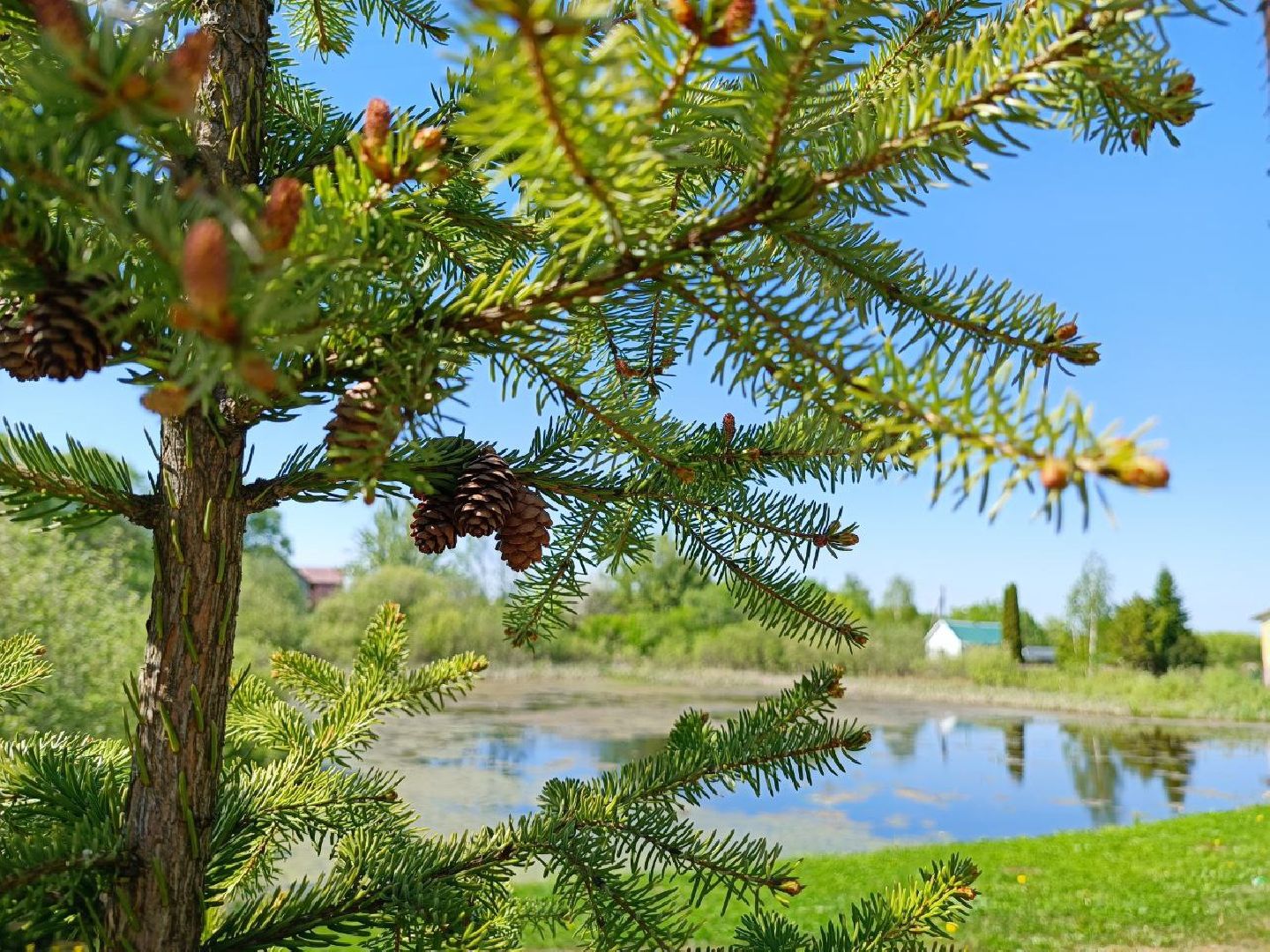 Можайск, Можайский городской округ, Подмосковье, губернаторская программа, 100 прудов и озёр, Добродел