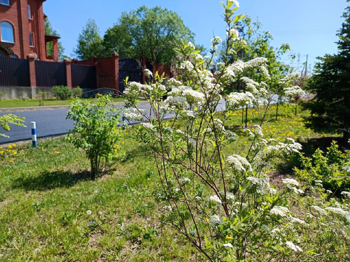 Можайск, Можайский городской округ, Подмосковье, ремонт дорог, Добродел, деревня, региональные дороги, муниципальные дороги, жители