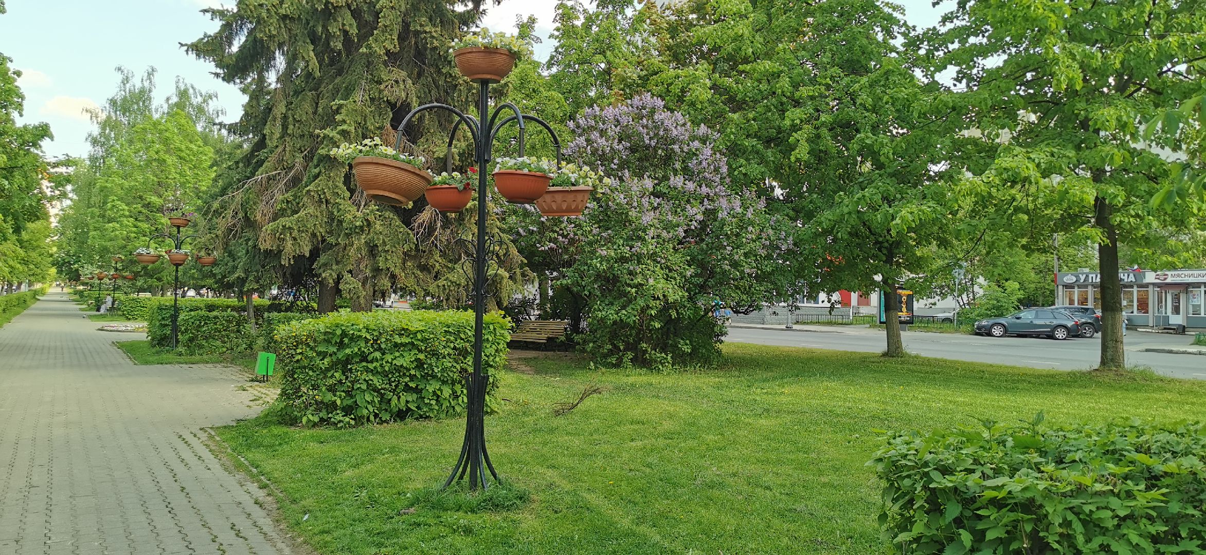 озеленение, благоустройство,