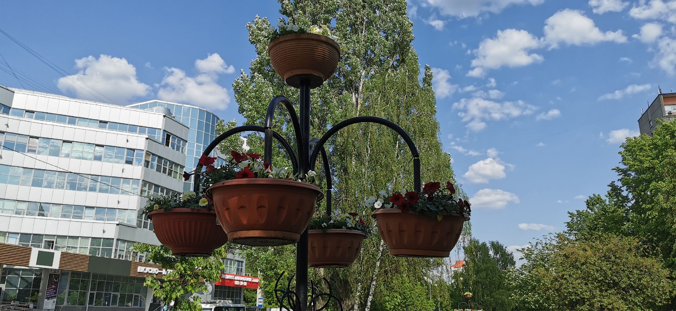 озеленение, благоустройство,