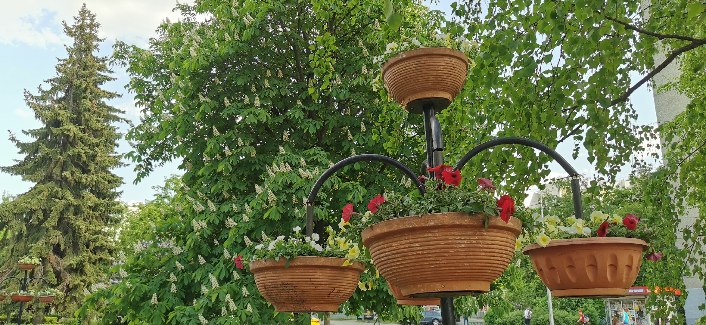 озеленение, благоустройство,