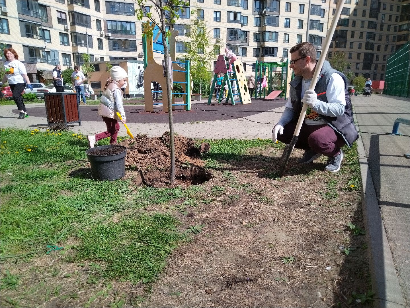 лес победы, экология, Мытищи