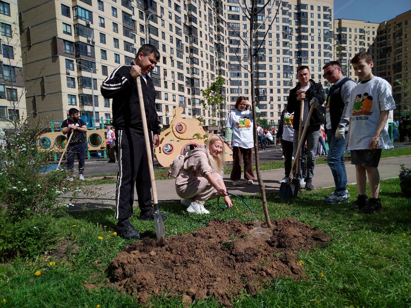 лес победы, экология, Мытищи