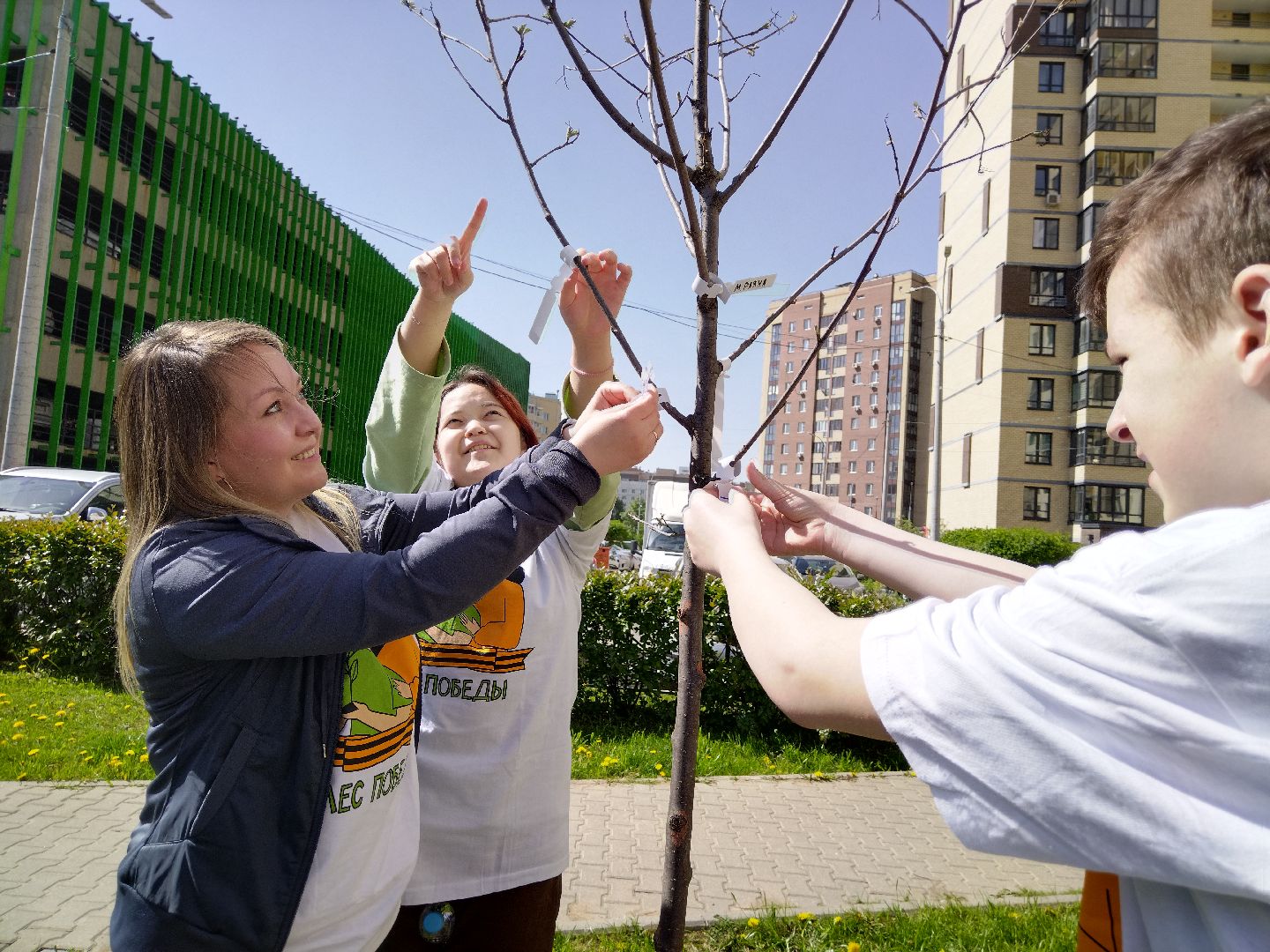 лес победы, экология, Мытищи