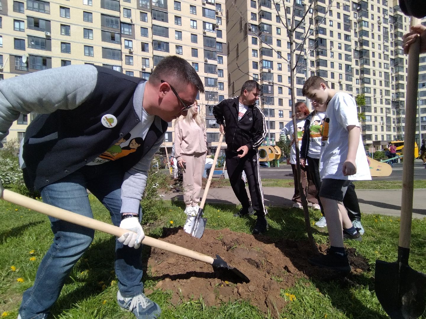 Лес победы, Мытищи, Экология