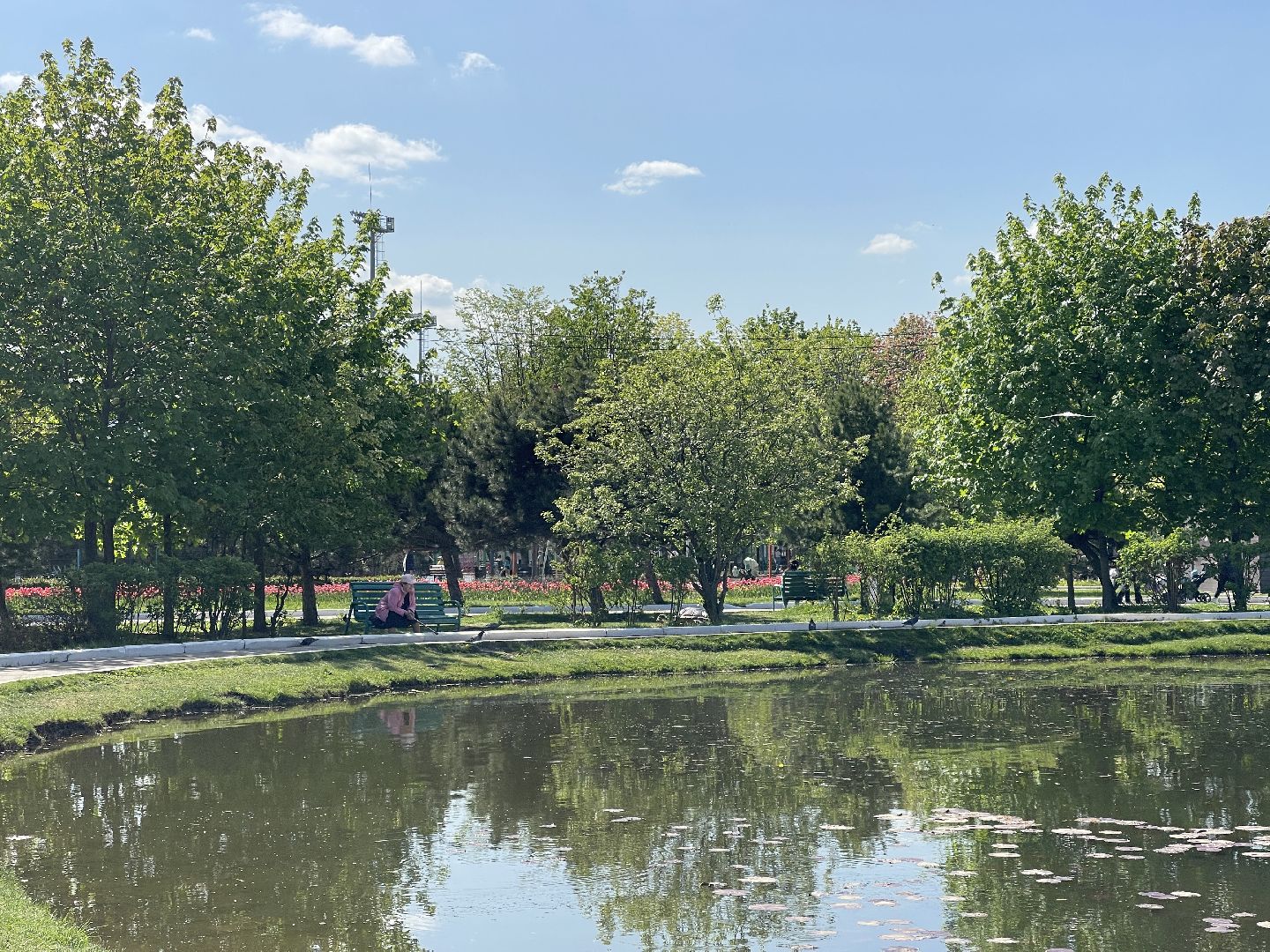 Одинцово, история, благоустройство, площадь, проектирование, искусство,