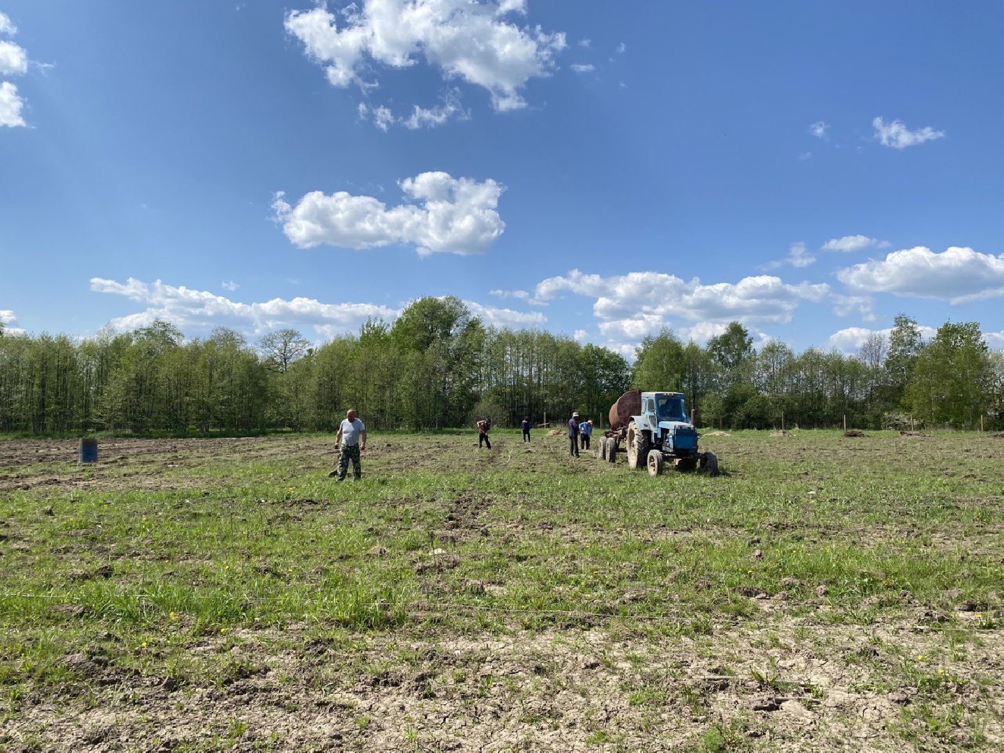 Чехов, КФХ, ферма, эксперимент, ежевика