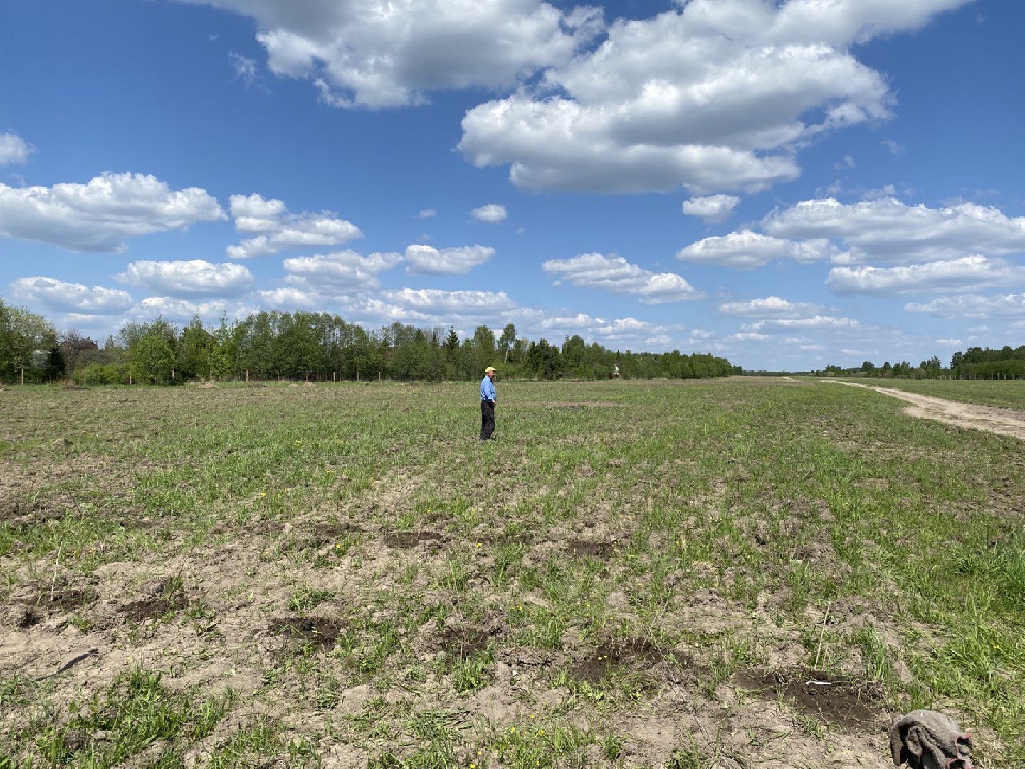 Чехов, КФХ, ферма, эксперимент, ежевика