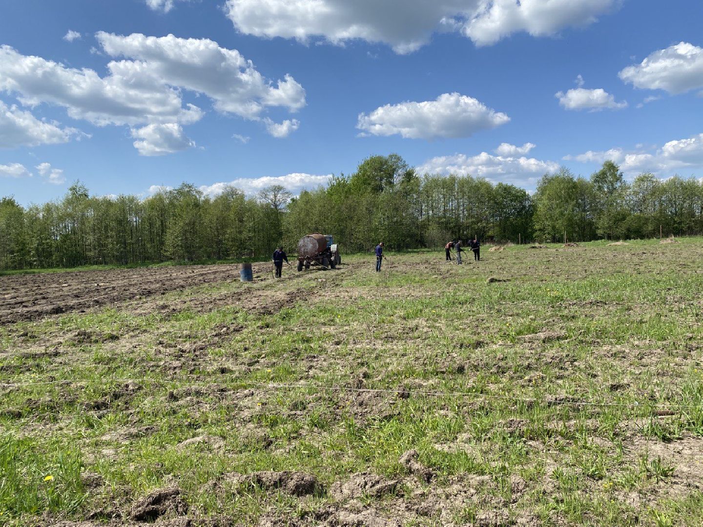 Чехов, КФХ, ферма, эксперимент, ежевика