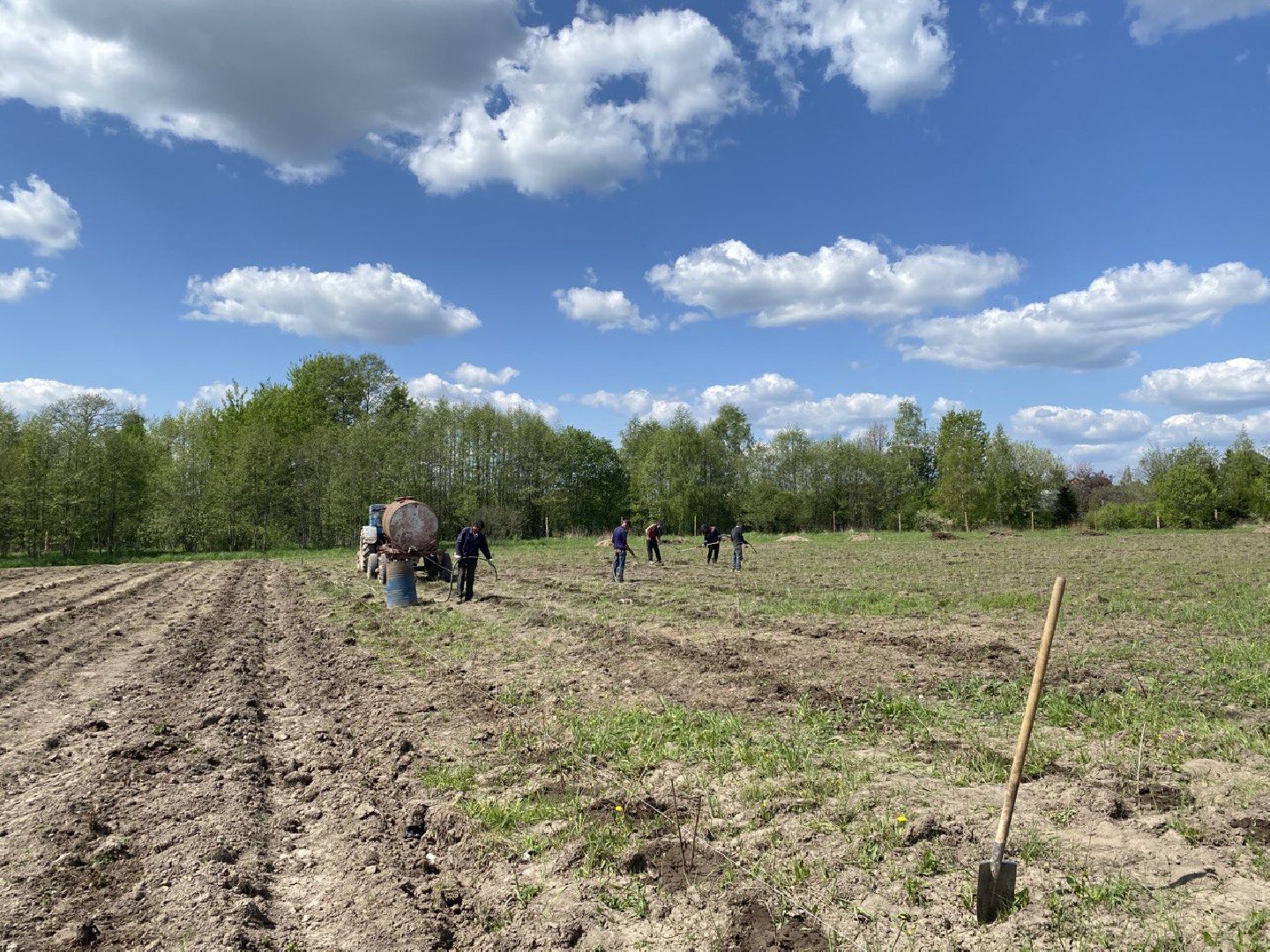 Чехов, КФХ, ферма, эксперимент, ежевика