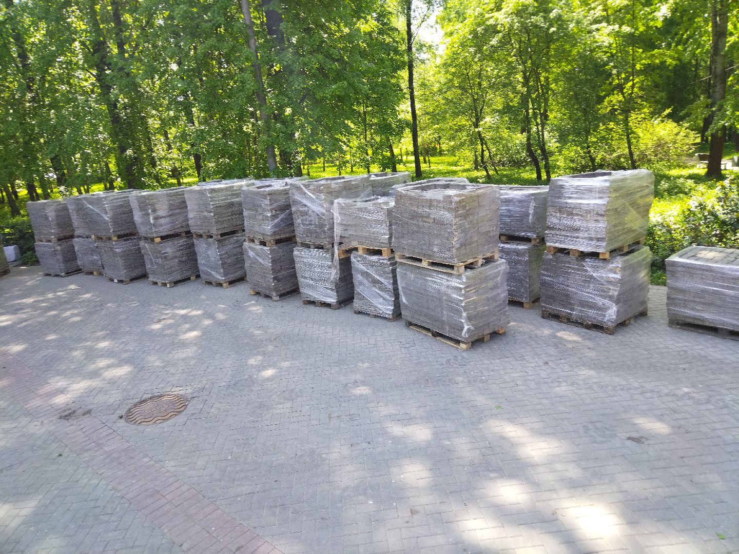 Парк Мира, Мытищи, ЦПКиО, Реконструкция