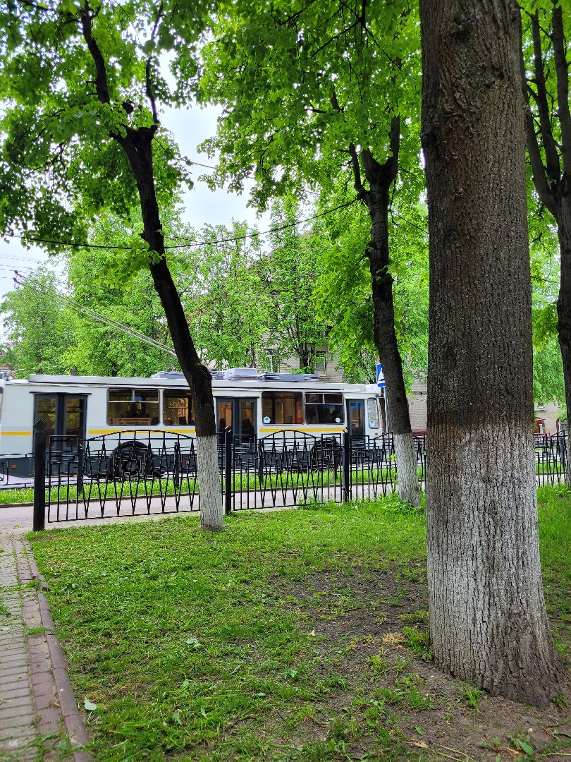 благоустройство; сквер; сезон; покос; видное