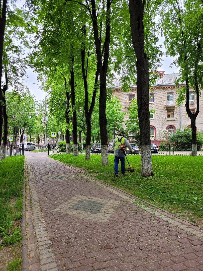 благоустройство; сквер; сезон; покос; видное