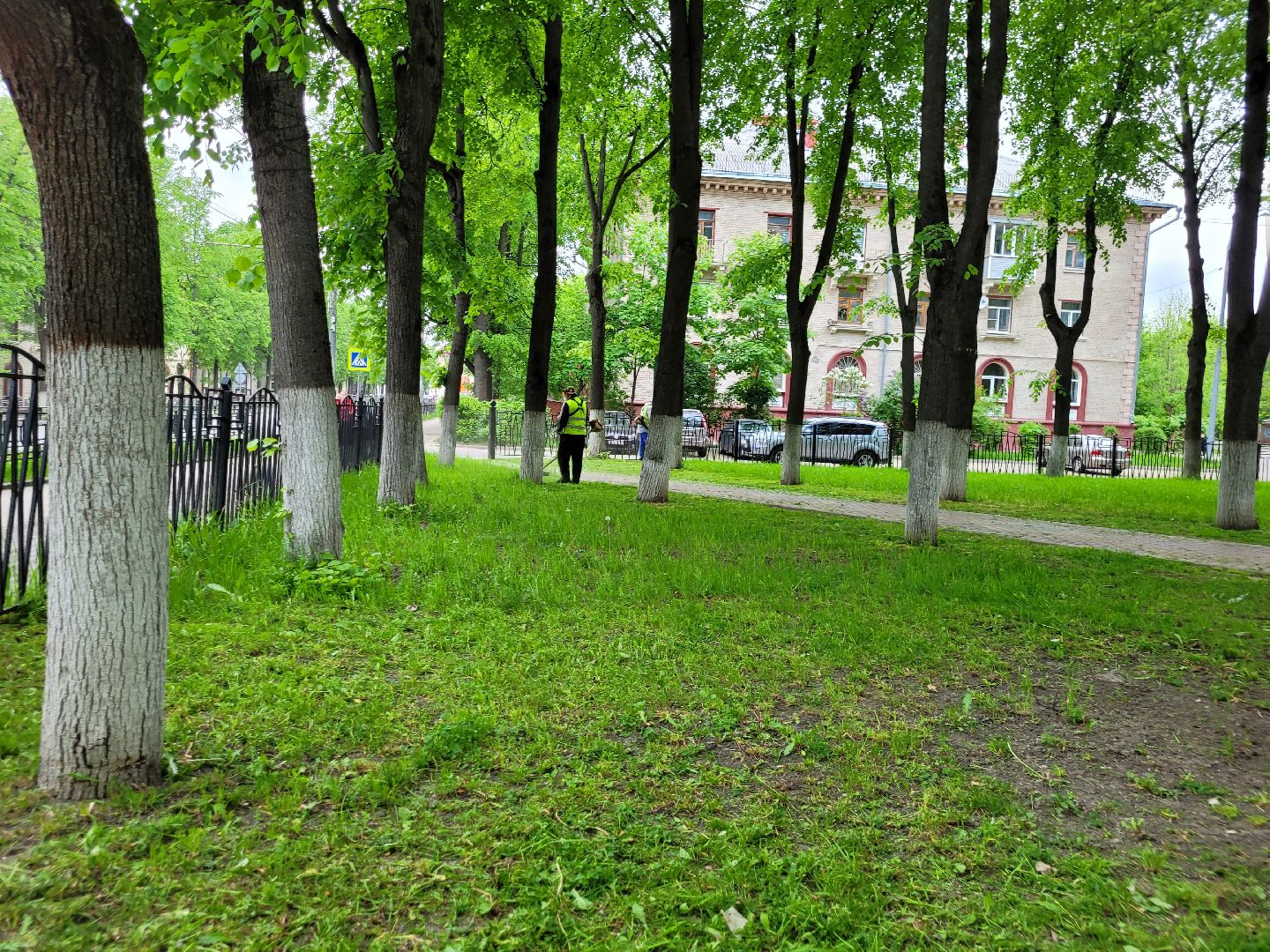 благоустройство; сквер; сезон; покос; видное