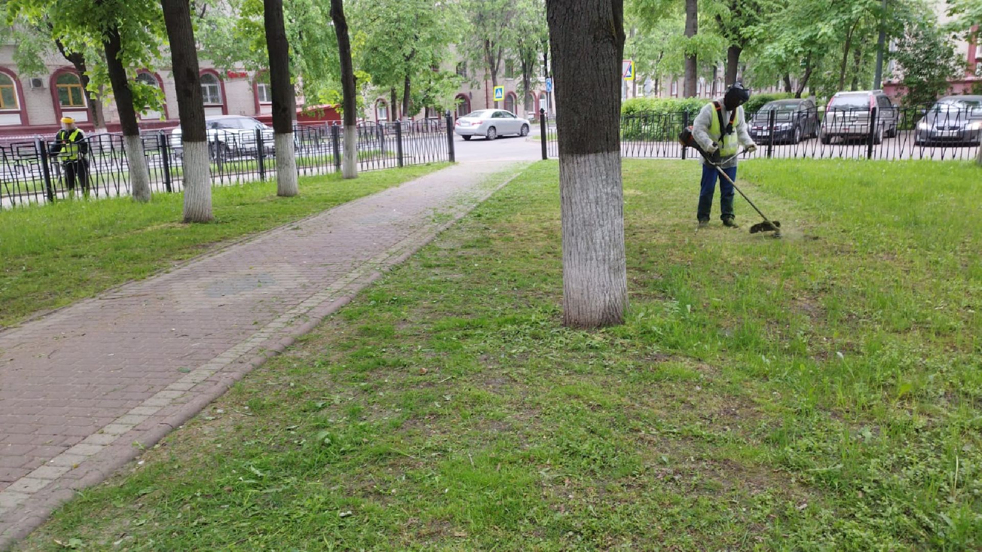 благоустройство; сквер; сезон; покос; видное