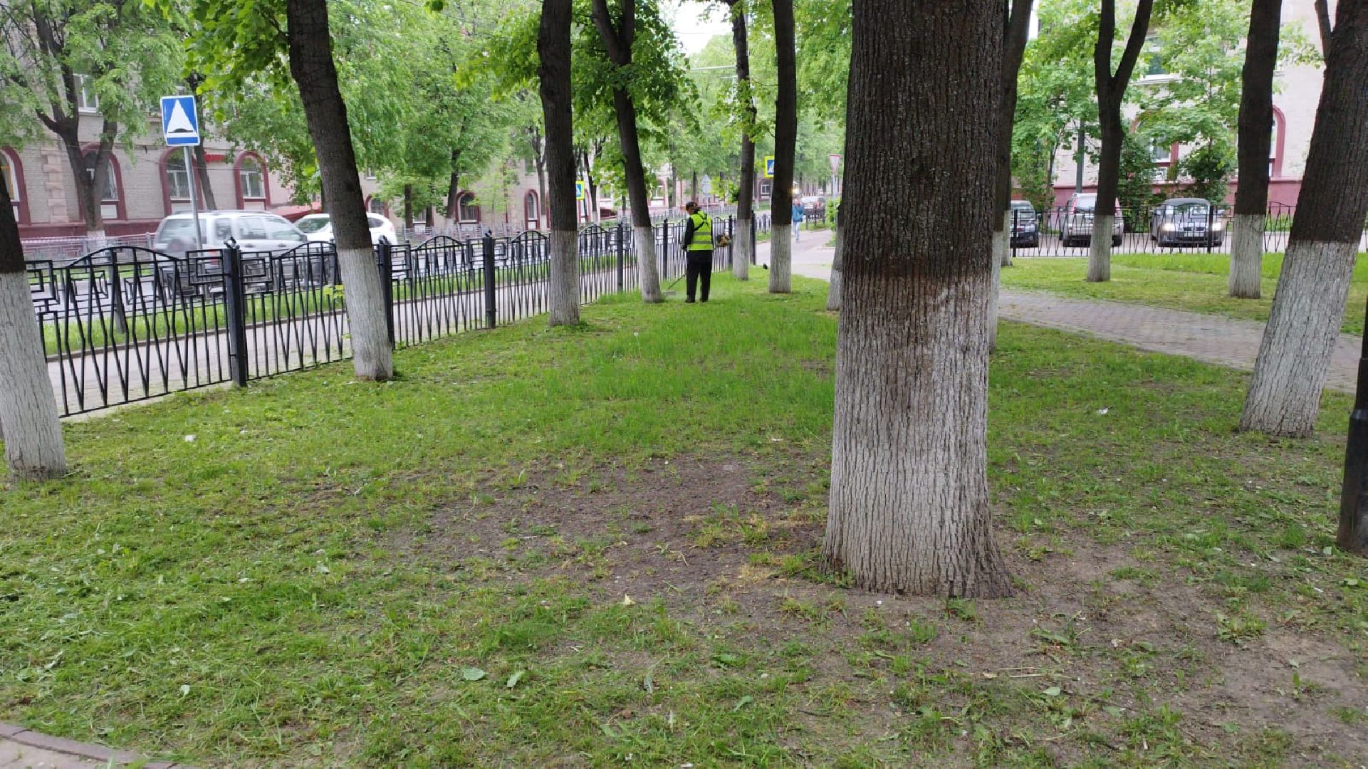 благоустройство; сквер; сезон; покос; видное