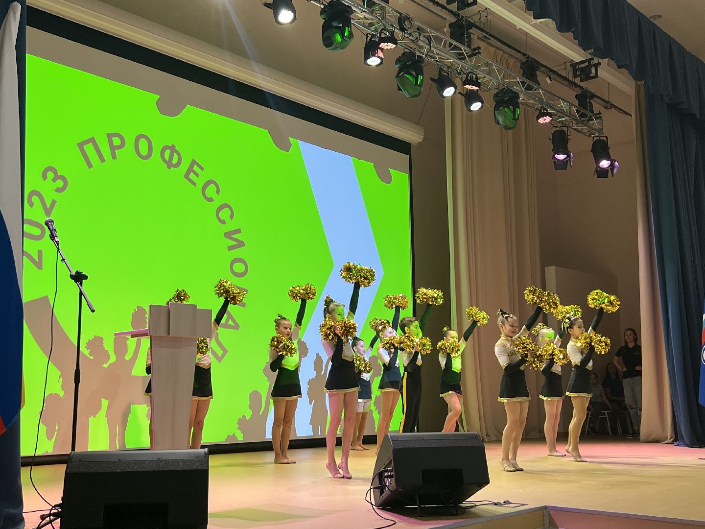 Химки, образование, награждение, Профессионалы, конкурс