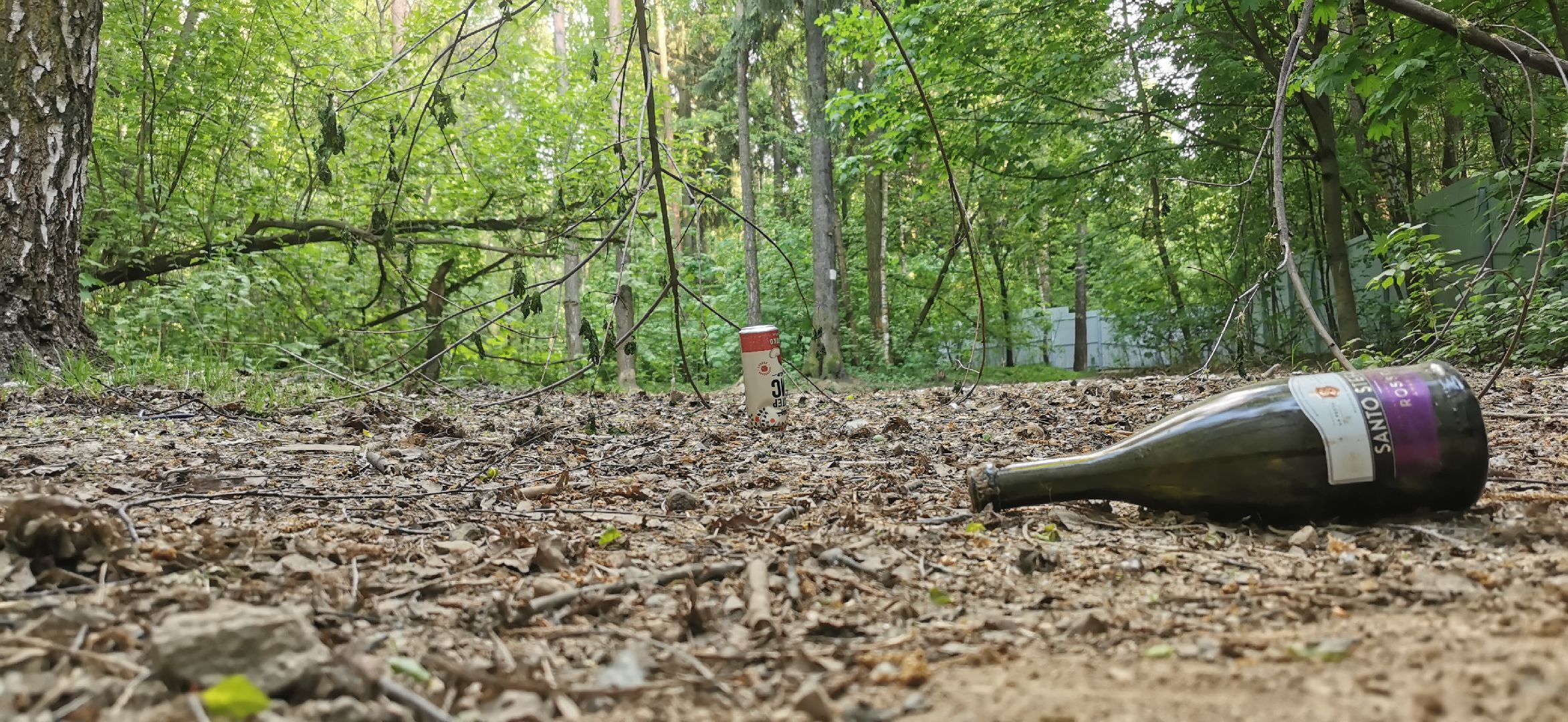 экология, строительство, общество, лес,