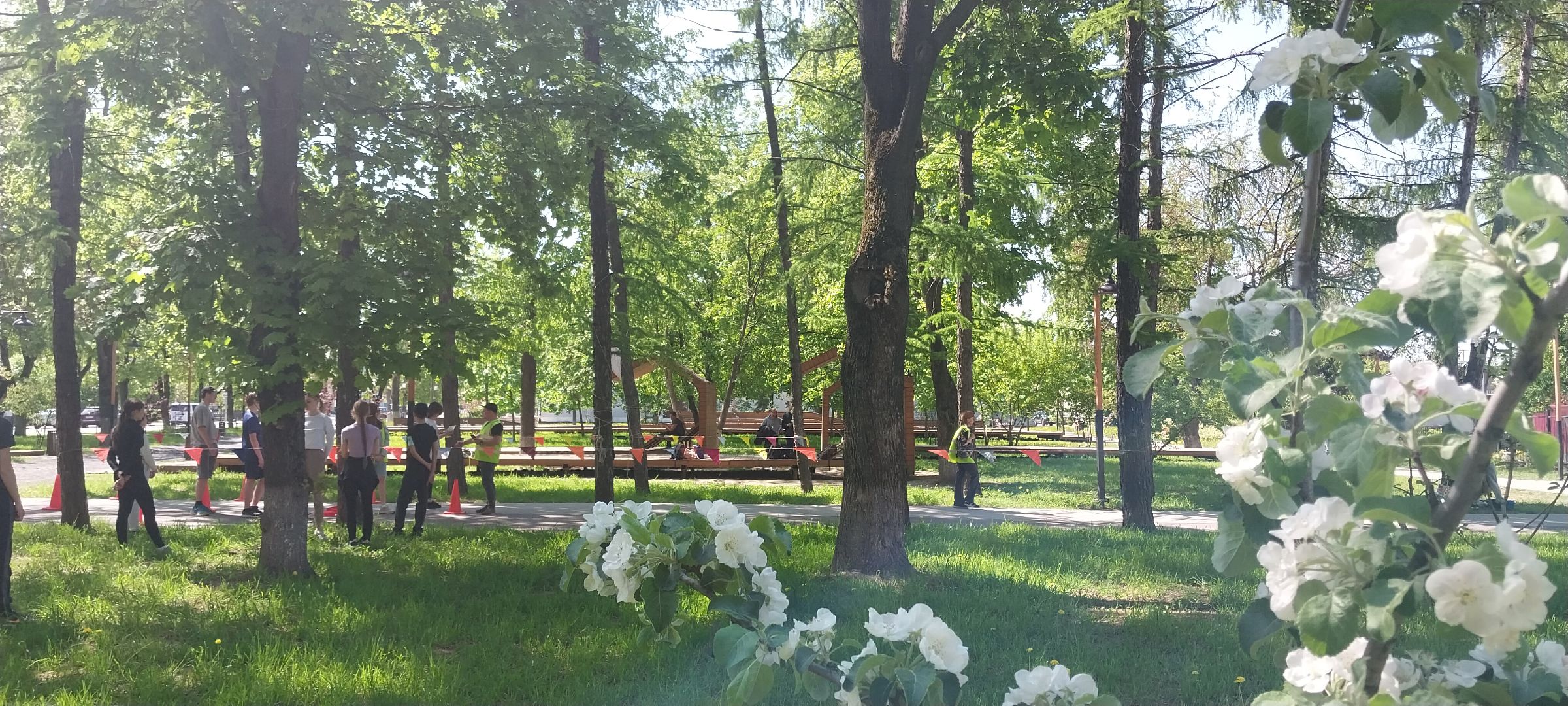 коломна, коломна спорт, спортивное ориентирование