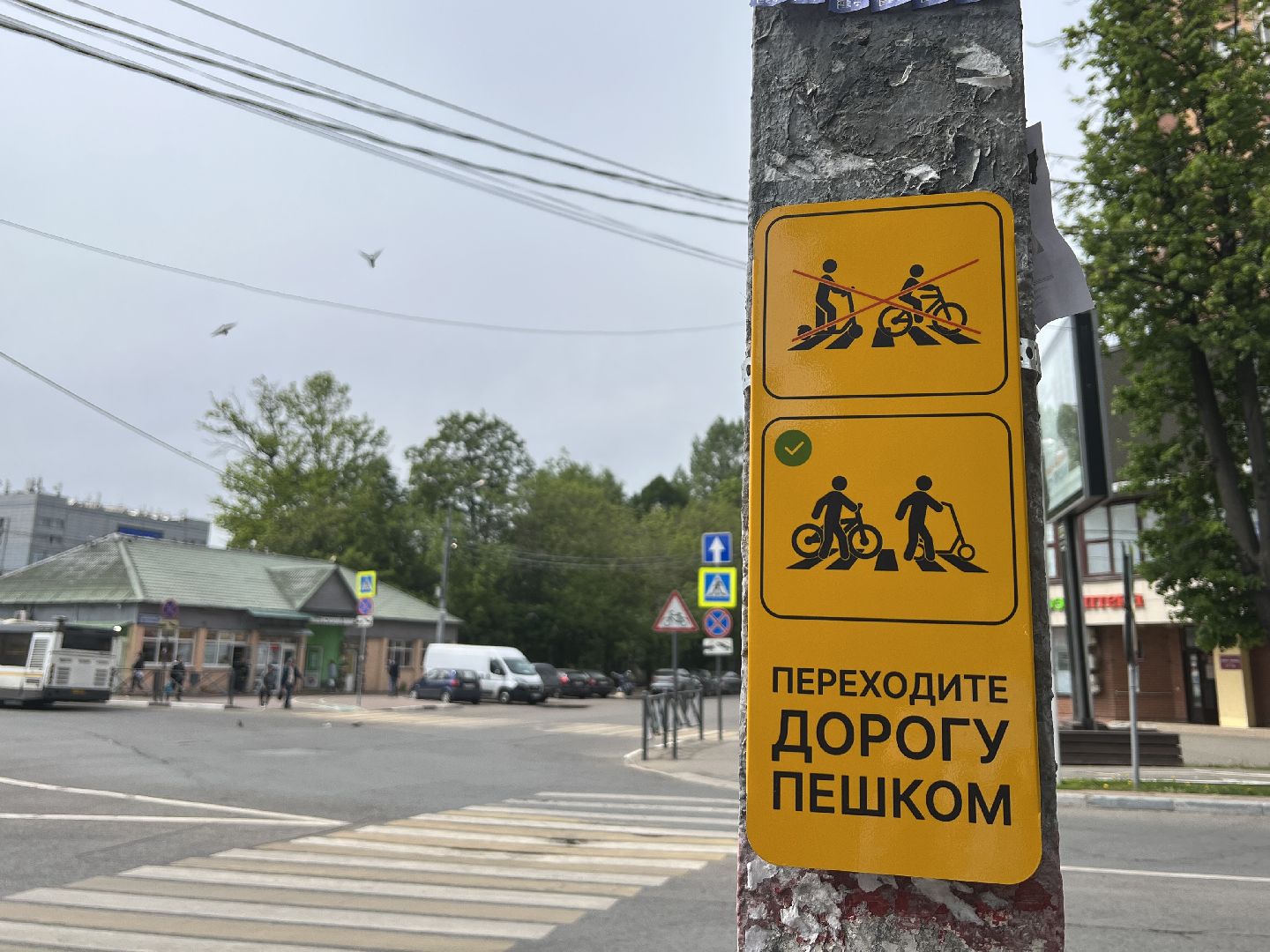 Химки, транспорт, дорожные знаки, велосипедисты, безопасность на дороге, пешеходный переход