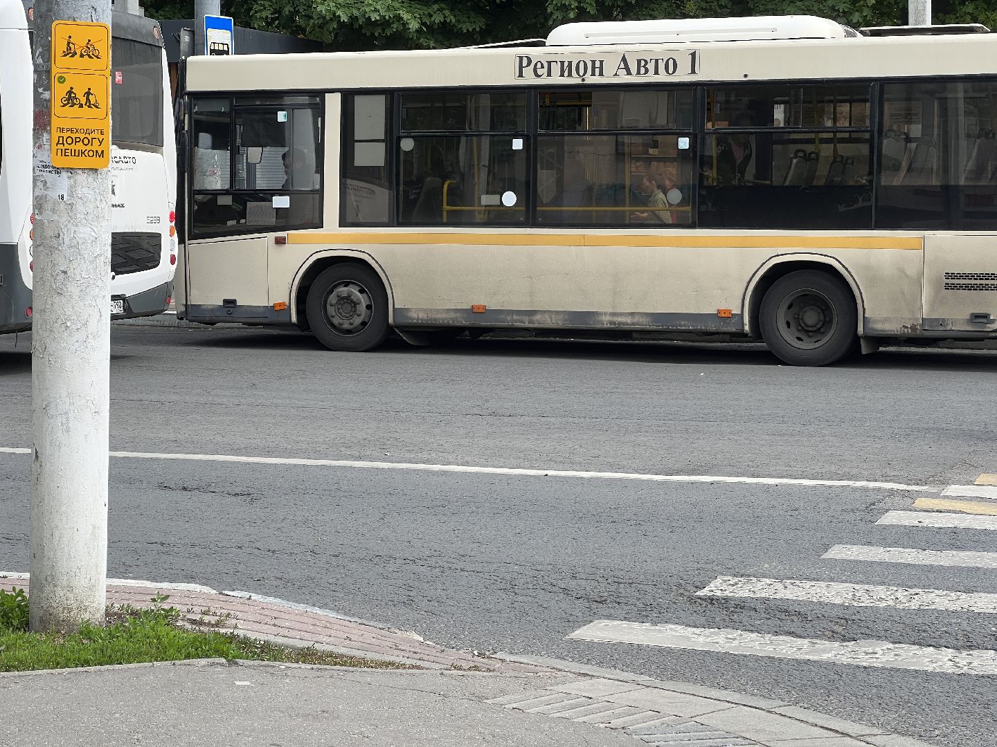 Химки, транспорт, дорожные знаки, велосипедисты, безопасность на дороге, пешеходный переход