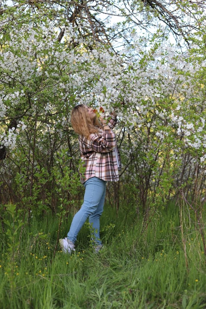 секвойя, дерево, двор, Дубна