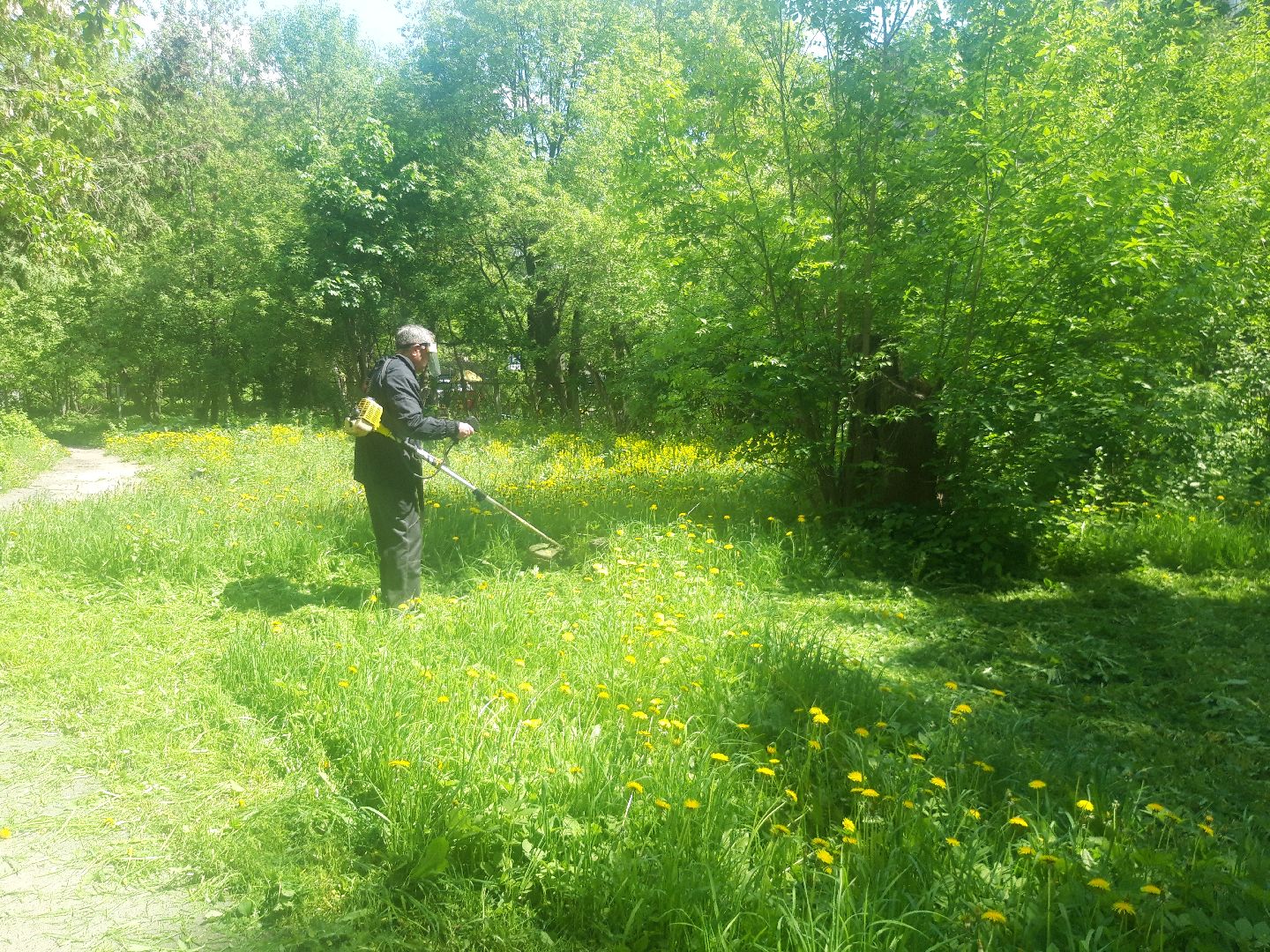 доброе дело, лето в подмосковье,