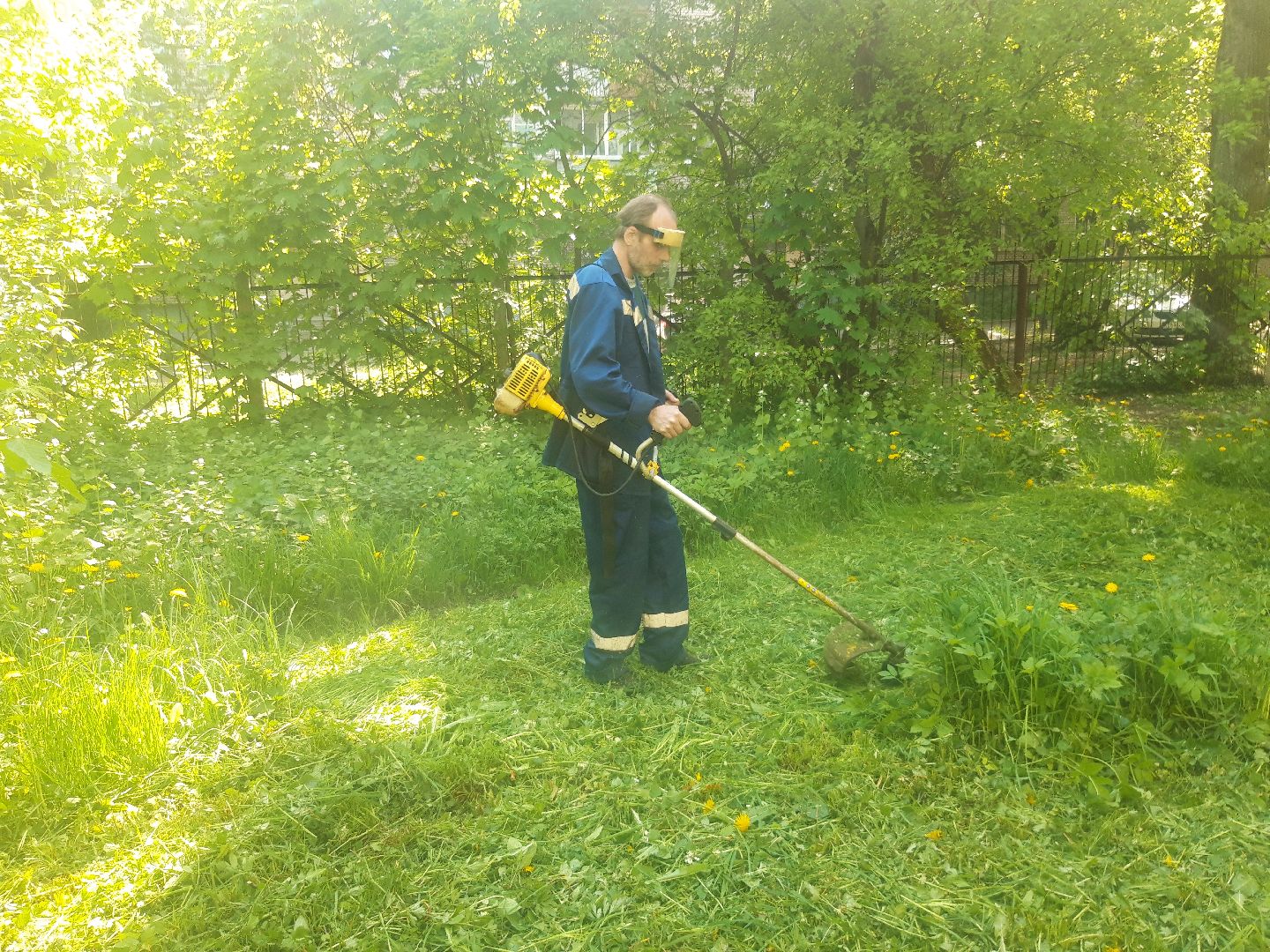 доброе дело, лето в подмосковье,