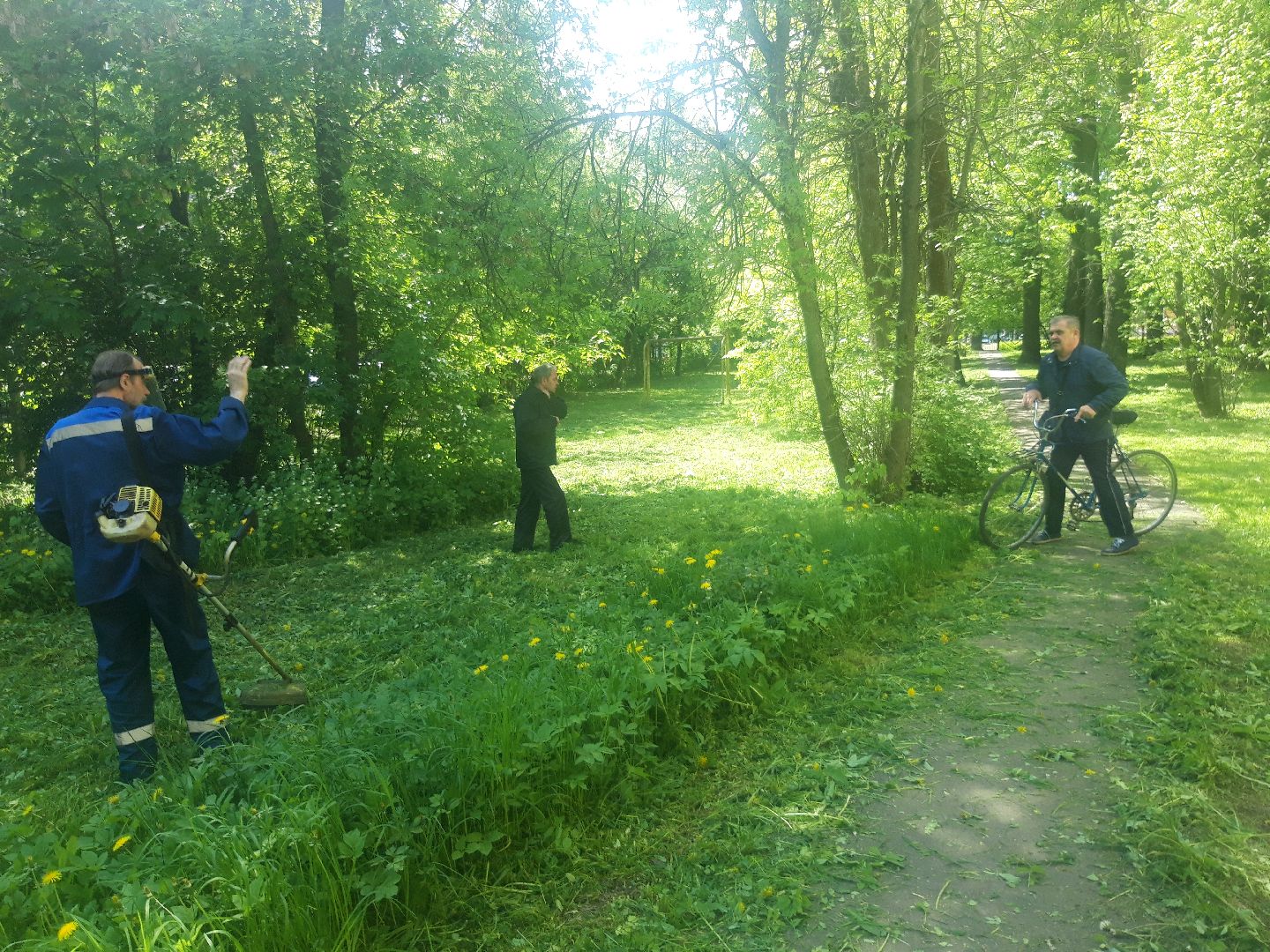 доброе дело, лето в подмосковье,