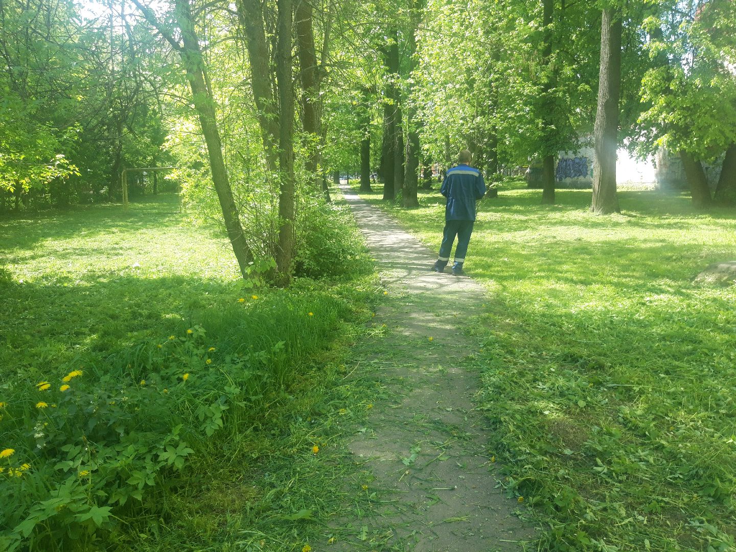 доброе дело, лето в подмосковье,