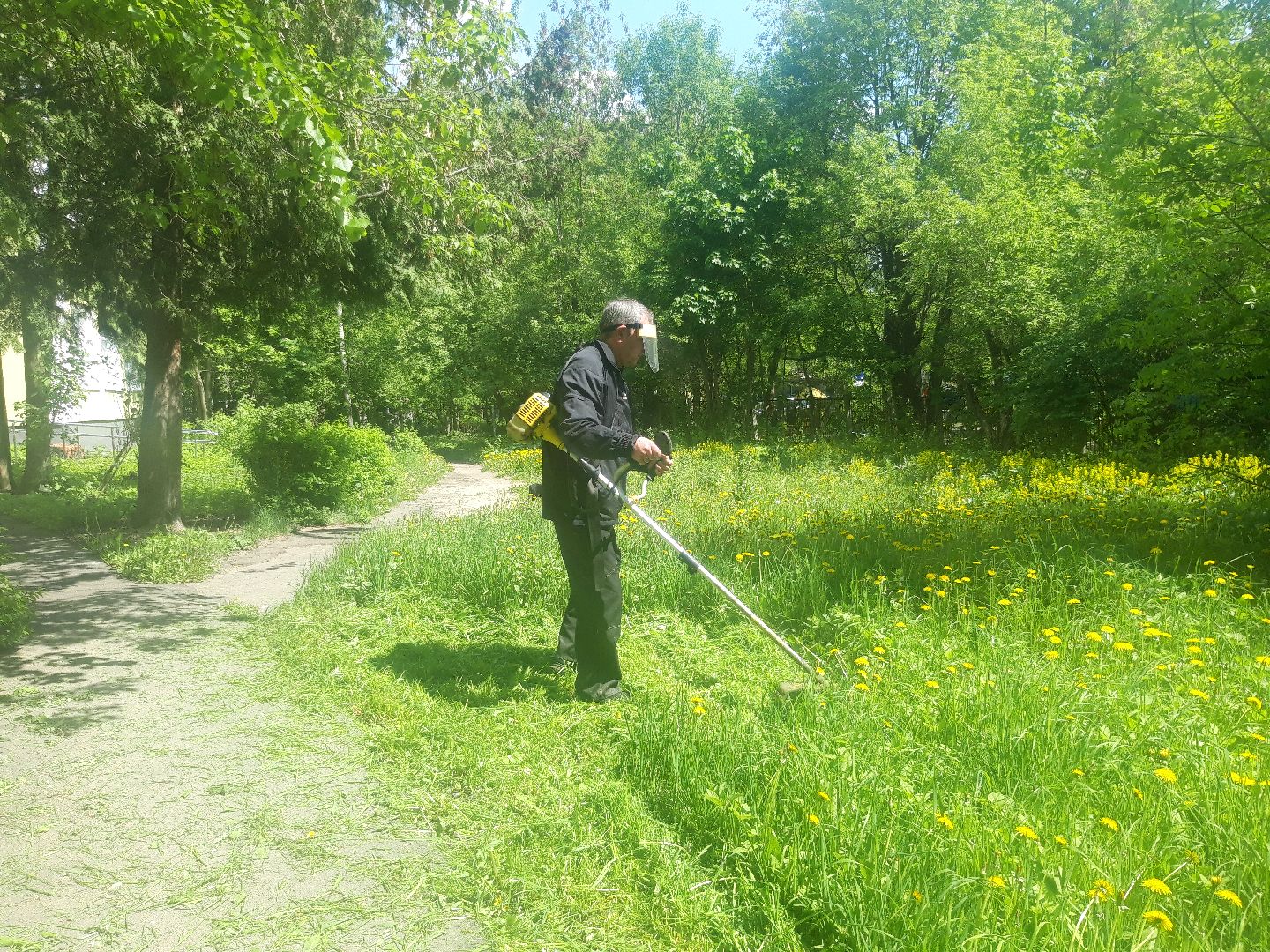 доброе дело, лето в подмосковье,