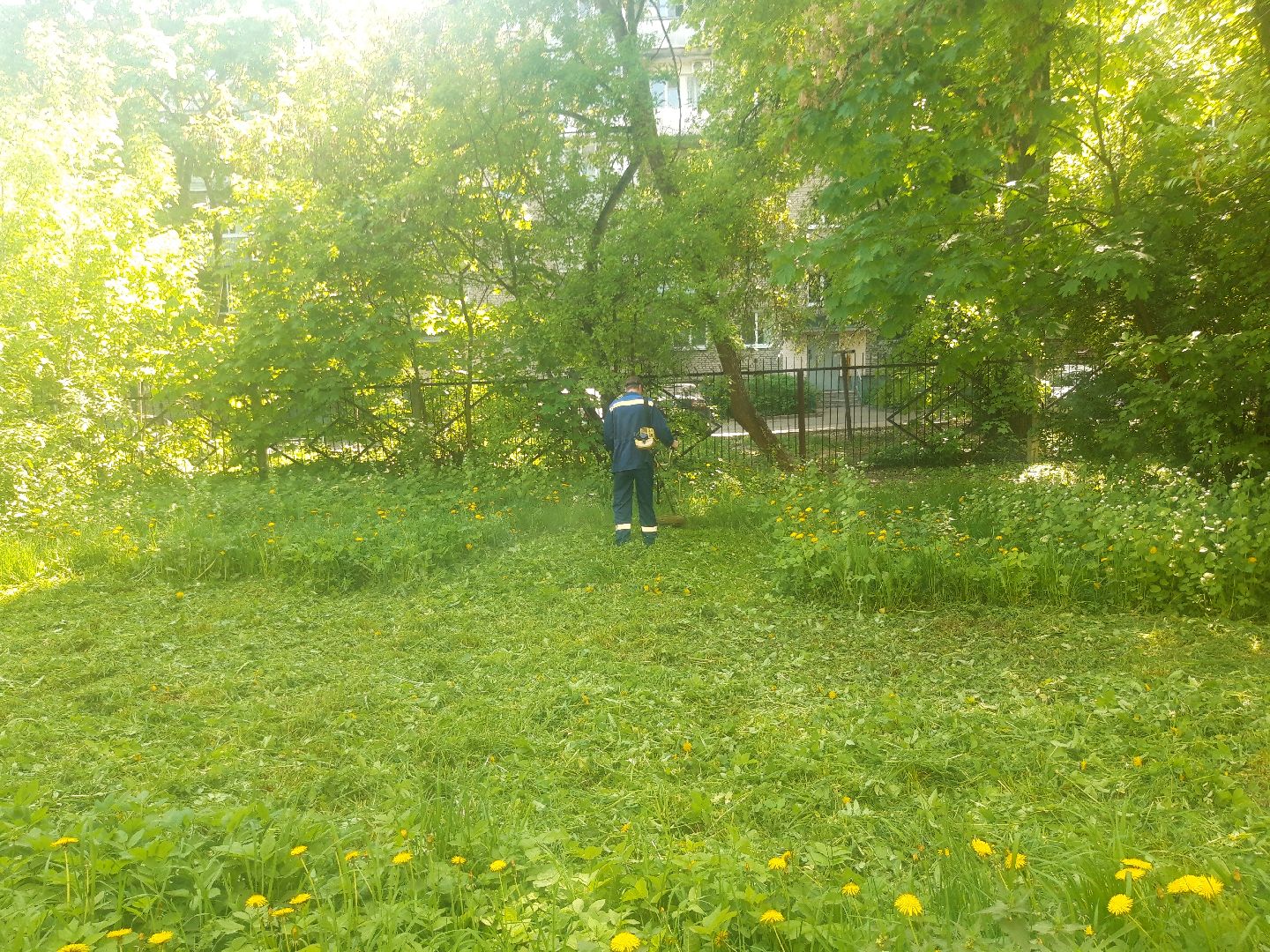 доброе дело, лето в подмосковье,