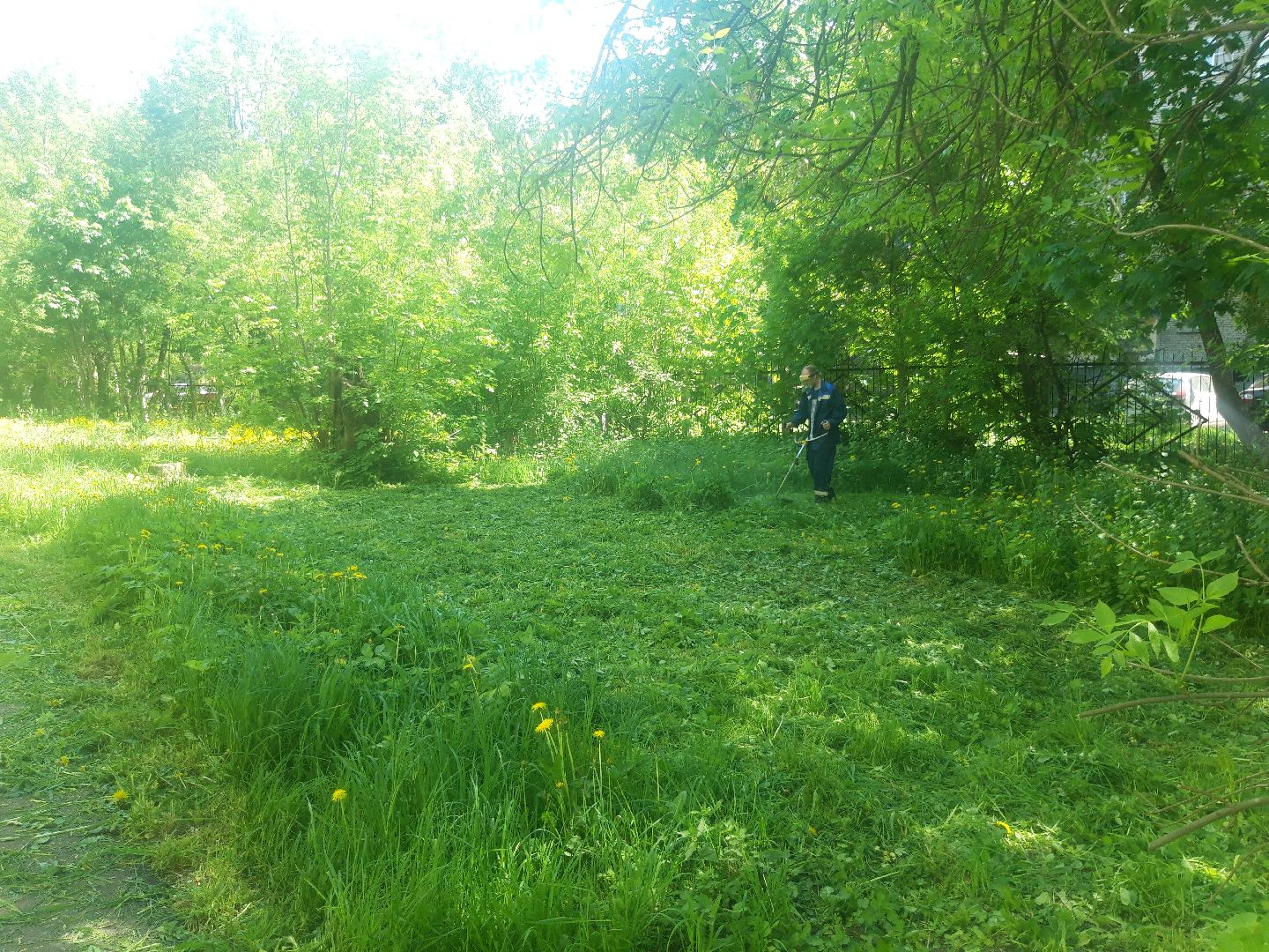 доброе дело, лето в подмосковье,