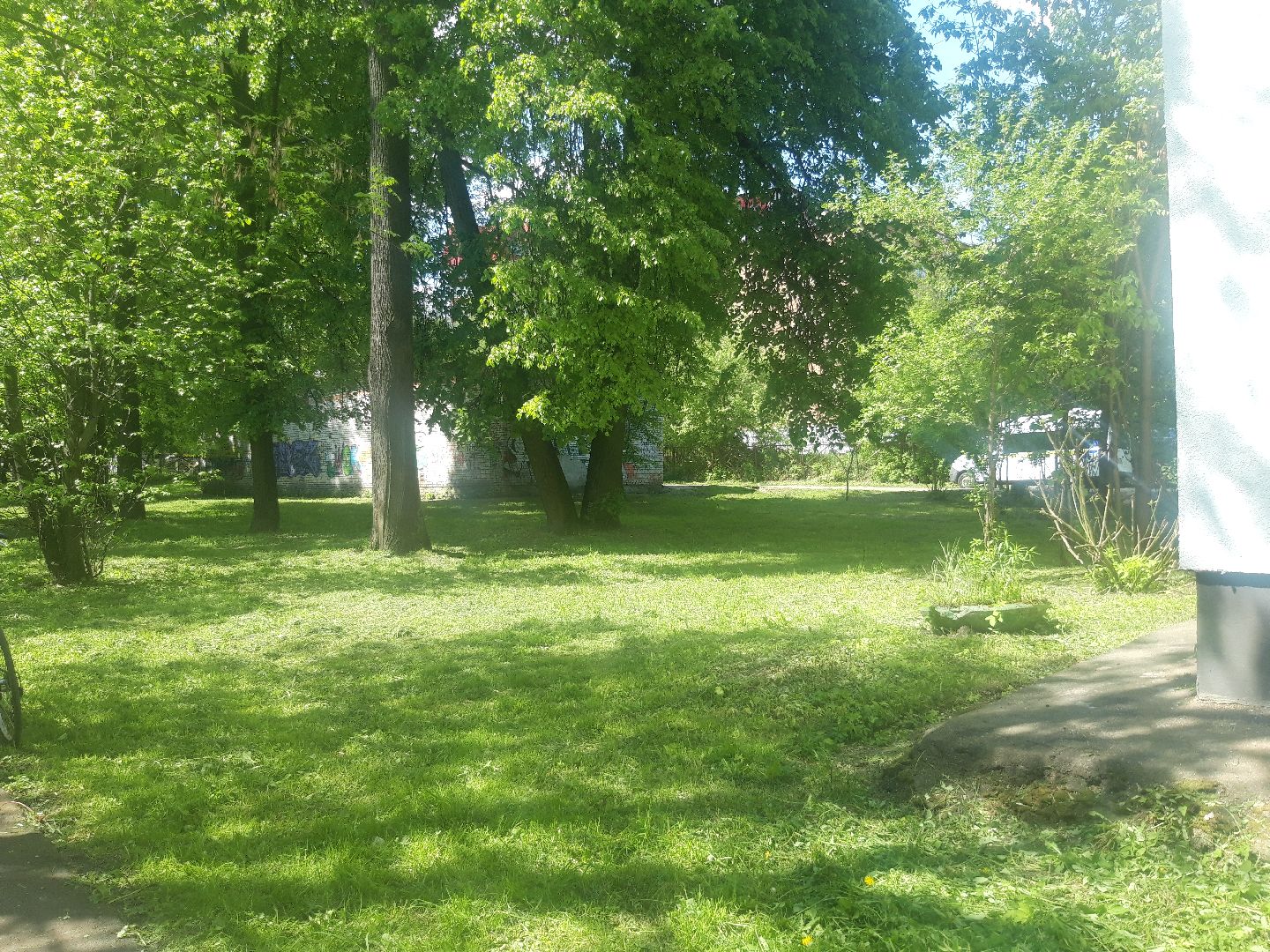 доброе дело, лето в подмосковье,