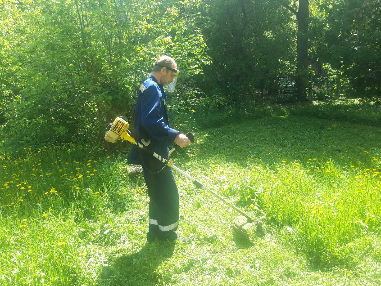 доброе дело, лето в подмосковье,