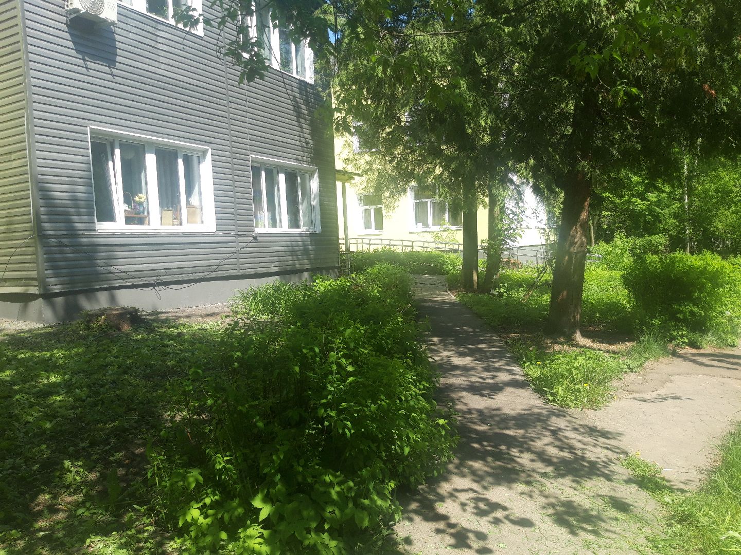 доброе дело, лето в подмосковье,