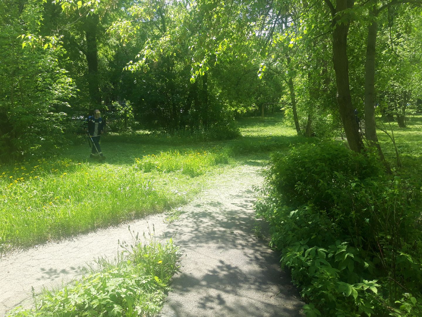 доброе дело, лето в подмосковье,