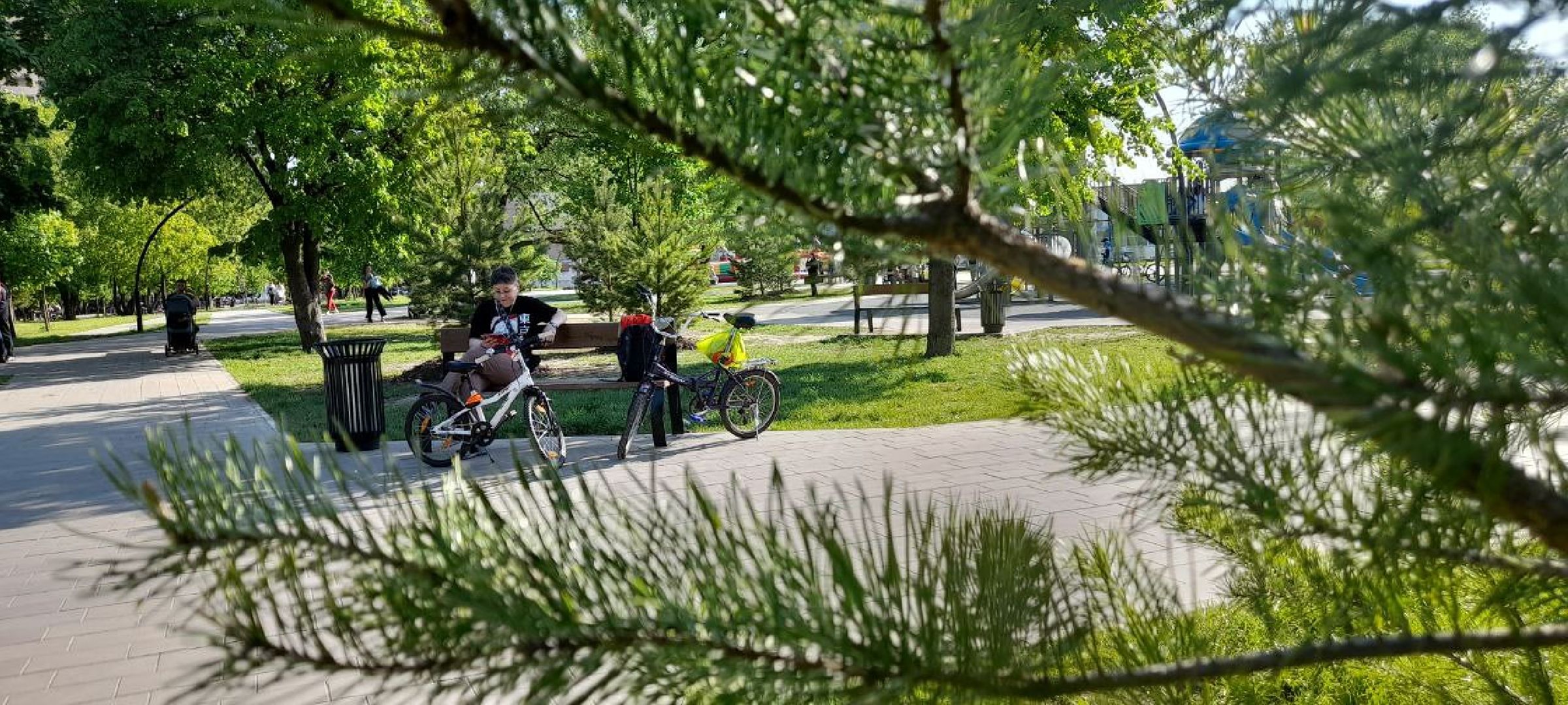 Реутов, благоустройство, голосование, сквер