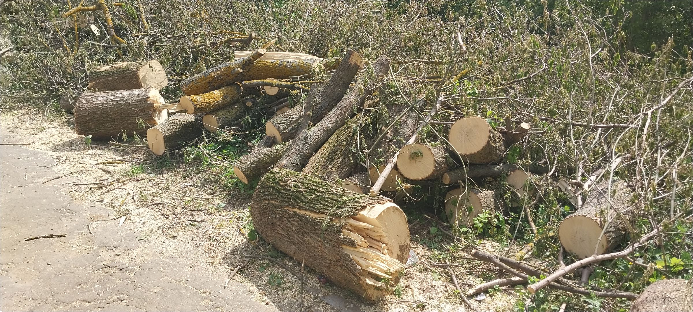 коломна, благоустройство