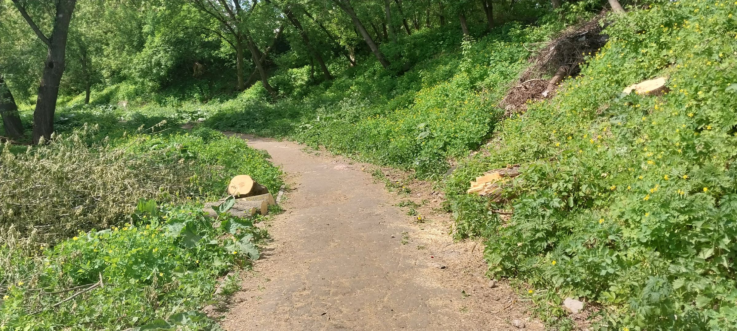 коломна, благоустройство