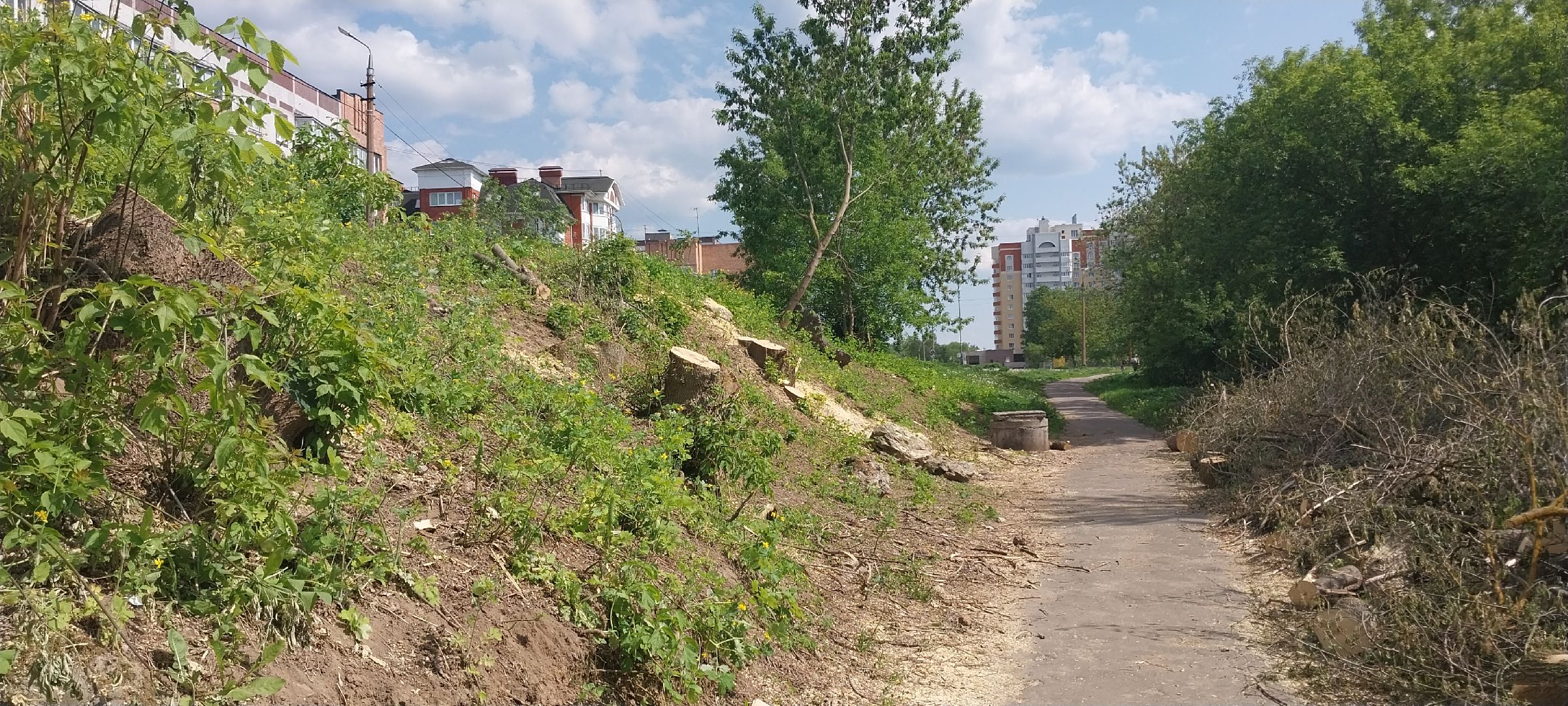 коломна, благоустройство