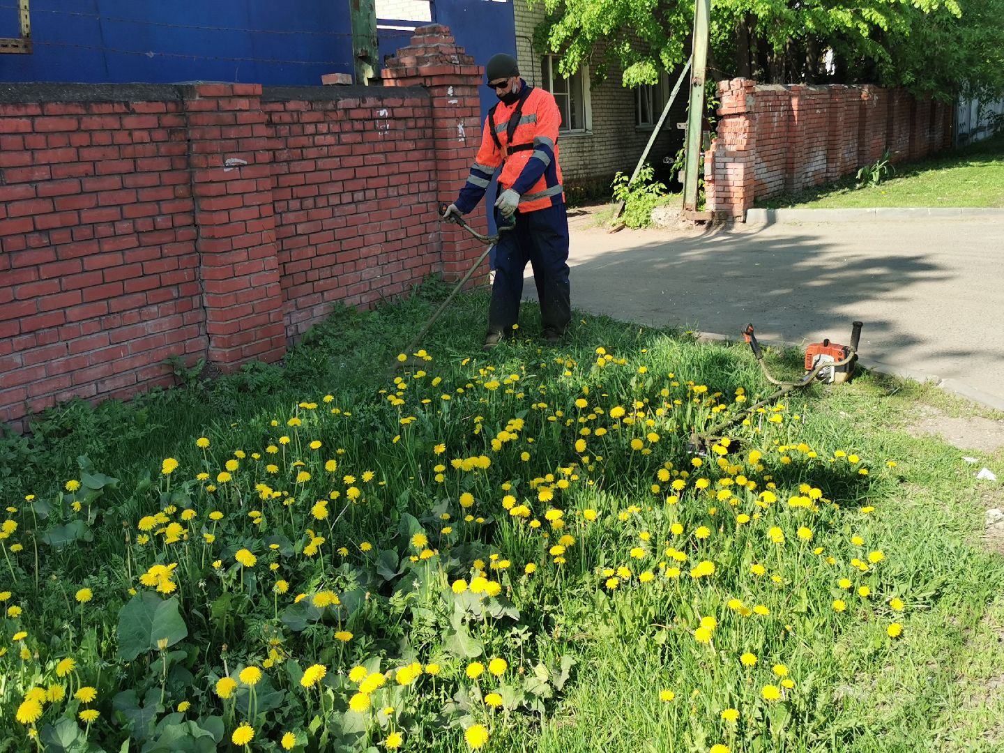 Подольск, трава