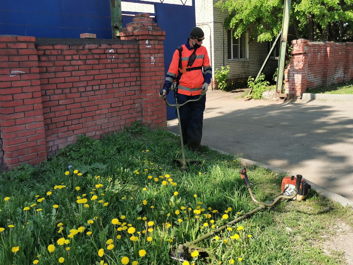 Подольск, трава