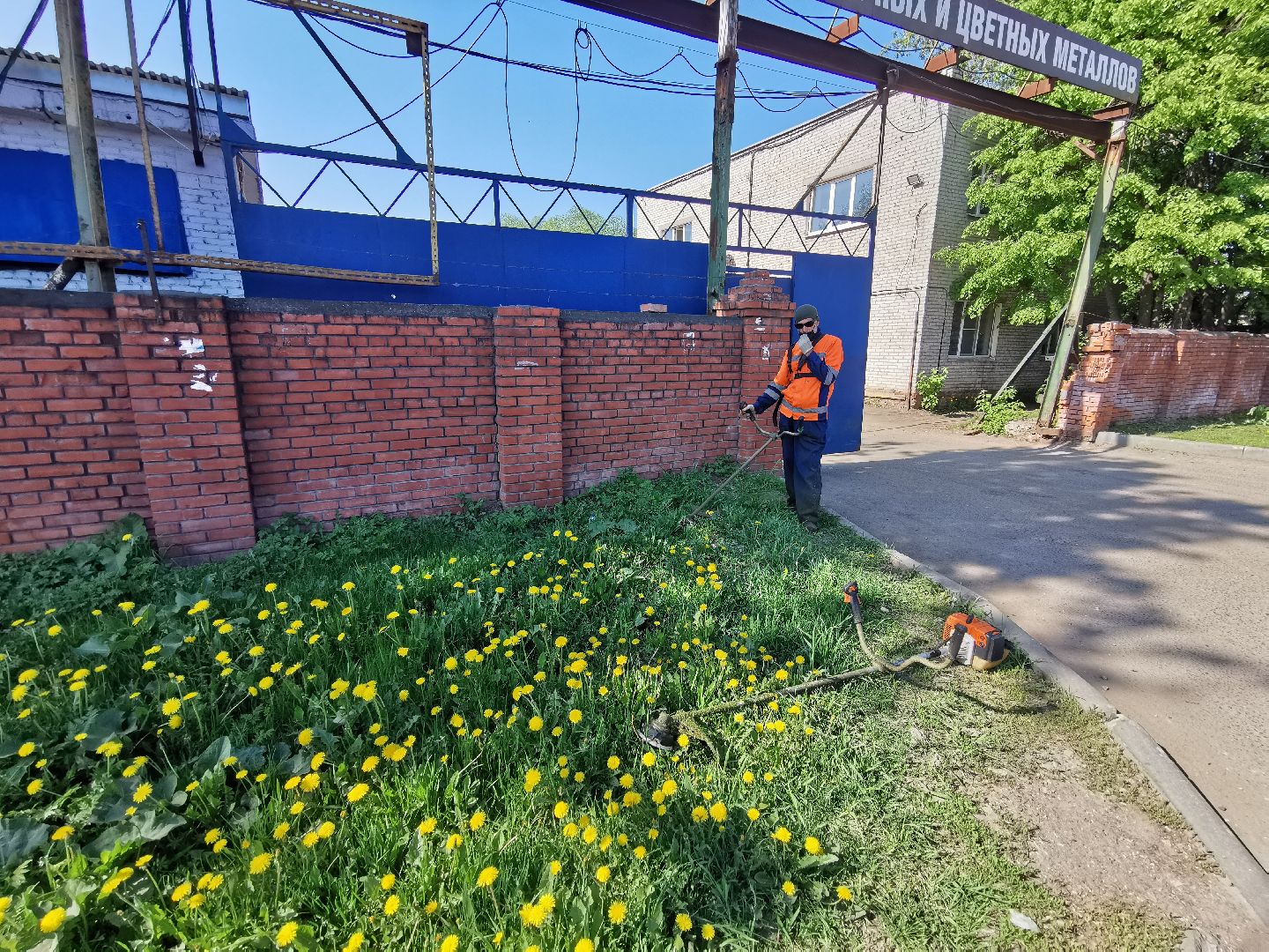 Подольск, трава