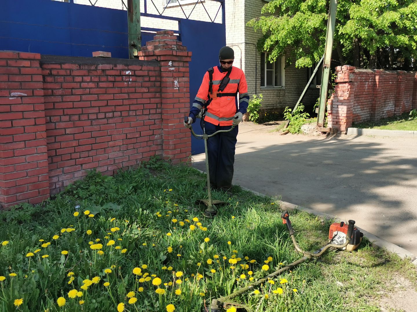 Подольск, трава