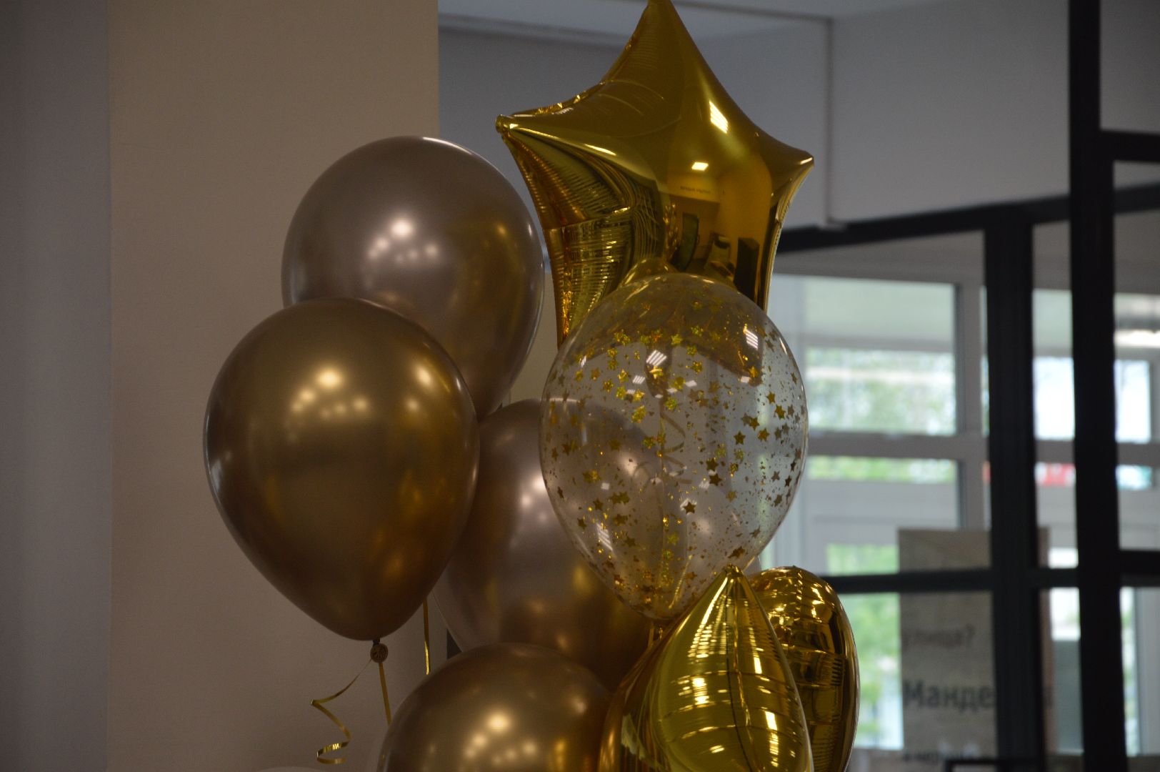 Шатура, премия главы, библиотека, победители олимпиад