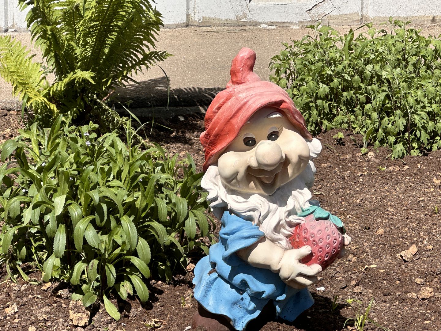 Одинцово, Благоустройство, Озеленение