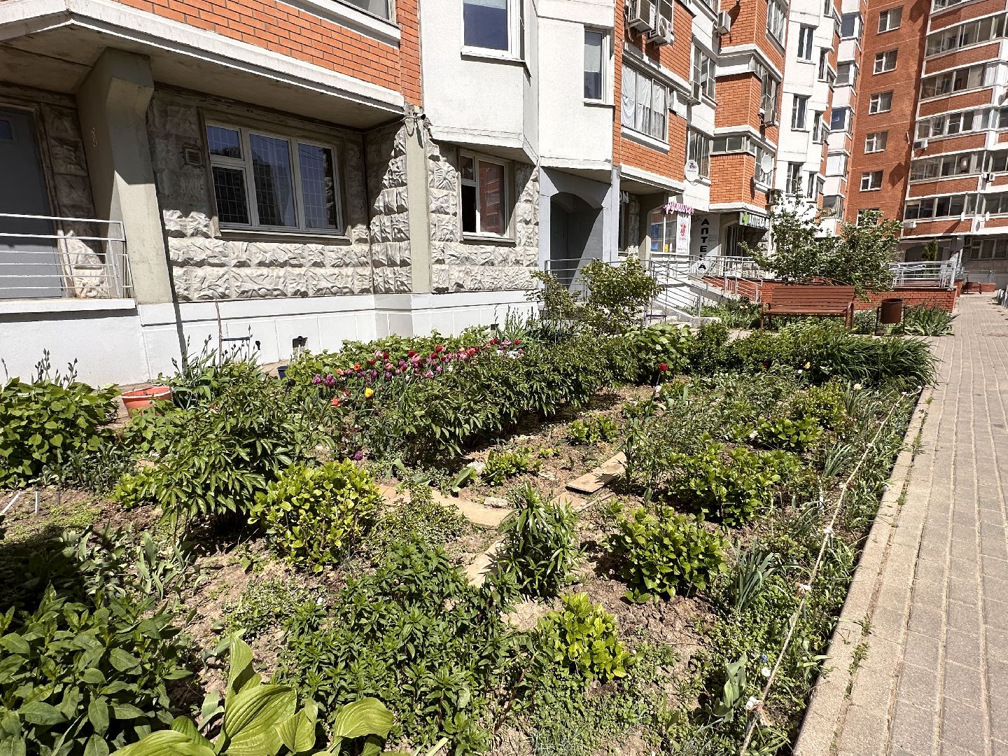 Одинцово, Благоустройство, Озеленение